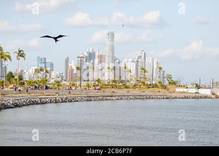 Panama City / Panama - 25 mars 2016: Paysage de gratte-ciels dans le centre financier de Panama et les gens marchant le long de la promenade avec les oiseaux de mer volent Banque D'Images