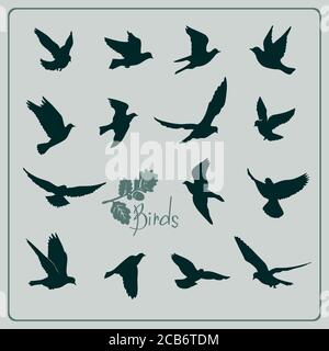 Ensemble de silhouettes d'oiseaux - vol. Illustration de Vecteur