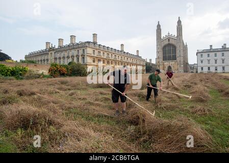 Le jardinier en chef Steve Coghill rakes la prairie fraîche de fleurs sauvages du King's College de Cambridge qui comprend des herbettes, des buttercups, des coquelicots et des cornflowers pour créer un « écosystème riche en biodiversité » sur une zone qui avait été pelouse luxuriante depuis les années 1720 . Banque D'Images