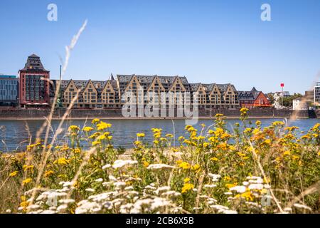 Vue sur le Rhin jusqu'à l'ancienne maison de campagne dans le port de Rheinau, Cologne, Allemagne. Blick ueber den Rhein zum alten Speicher, genannt Siebengeb Banque D'Images