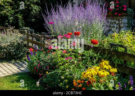 Plantes colorées à la clôture de jardin Perovskia Zinnia Rudbeckia fleurs mélangées bordent le jardin de clôture en bois Banque D'Images