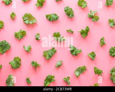 Feuilles de kale vertes fraîches sur fond rose. Vue de dessus ou plan de travail. Motif créatif à partir de feuilles de kale. Copier l'espace pour le texte ou la conception. Alimentation saine, nourriture végétarienne, dieting concept Banque D'Images