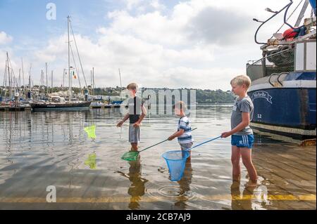 Kinsale, Cork, Irlande. 11 août 2020. Les frères Cian, Connell et Fionn Ryan de Dublin ont essayé leurs compétences de pêche tout en se promenant à Kinsale, Co. Cork, Irlande. - crédit; David Creedon / Alamy Live News Banque D'Images