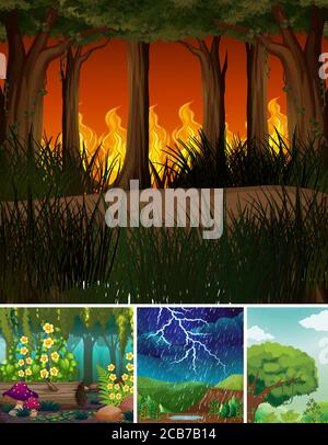 Quatre différentes scènes de catastrophes naturelles de style caricature de forêt Illustration de Vecteur