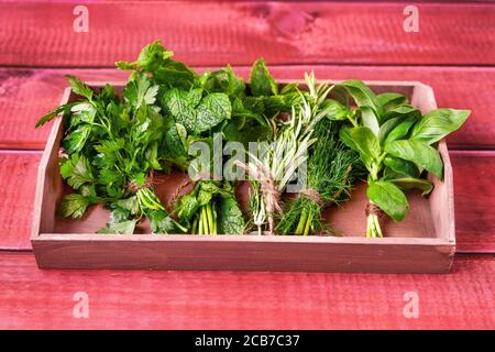 Collection d'herbes de cuisson dans un plateau en bois sur rouge surface rustique Banque D'Images