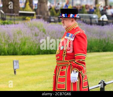 Un nageur de yeoman, communément appelé Beefeater, à la Tour de Londres, en uniforme de cérémonie pendant le salut des armes à feu, Londres, Angleterre Banque D'Images