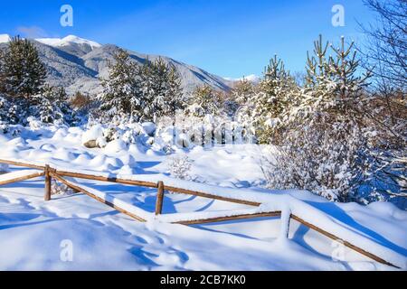 Bansko, Bulgarie nature voyage hiver rural Pirin montagnes paysage vue panoramique, arbres et clôture couverte de neige Banque D'Images