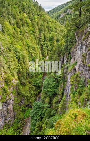 Formations rocheuses karstiques dans la vallée de Kvacany (Kvačianska dolina), vues du point de vue de Kobyliny, chaîne de montagnes de Chocske vrchy, région de Liptov, région de Zilina, Slovaquie Banque D'Images