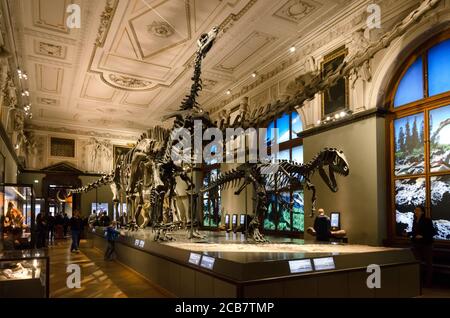 VIENNE, AUTRICHE - 20 MAI 2017 : le célèbre Musée Naturahistisches (Musée d'Histoire naturelle) à Vienne, Autriche, le 20 mai 2017. Les dinosaures hal Banque D'Images