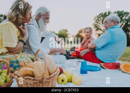 Groupe d'aînés faisant un pique-nique au parc et s'amusant. Banque D'Images