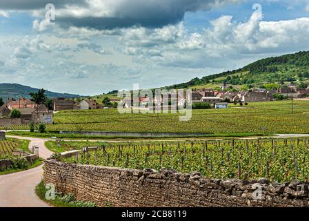 Village de vins fins de Chassagne-Montrachet vu des vignobles du Grand Montrachet Grand cru en premier plan une appellation historique de Bourgogne située au sud de la Côte de Beaune produisant les meilleurs vins blancs Bourgogne Bourgogne France Banque D'Images