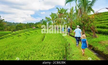 Promenez-vous sur la terrasse à riz vert. Groupe touristique de retraités, enfants trekking par chemin avec belle vue sur les champs traditionnels balinais. Voyage aventure Banque D'Images