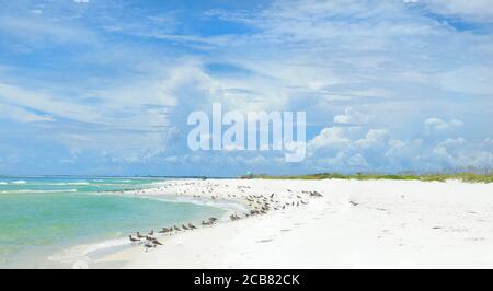 Panorama de la magnifique plage de sable blanc de la Floride Côte du golfe le jour d'un Nuageux Banque D'Images