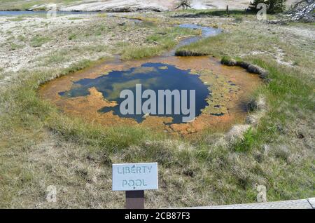 PARC NATIONAL DE YELLOWSTONE, WYOMING - 8 JUIN 2017 : la piscine Liberty du groupe Sawmill s'écoule dans la rivière Firehole dans le bassin supérieur de Geyser Banque D'Images