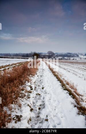 Empreintes en sonow sur un sentier de campagne Banque D'Images