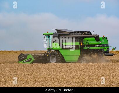 Moissonneuse-batteuse Deutz-Fahr récolte de blé champ en été soleil, East Lothian, Écosse, Royaume-Uni Banque D'Images