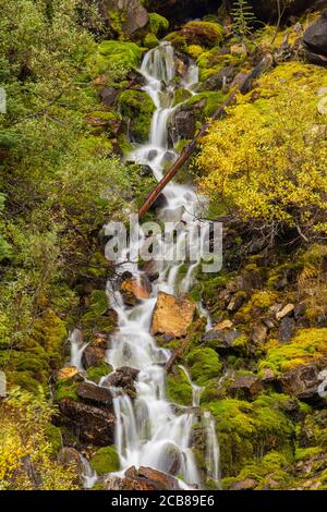 Cascade de mousse, parc national Yoho, C.-B., Canada Banque D'Images