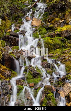 Cascade de mousse, parc national Yoho, C.-B., Canada Banque D'Images