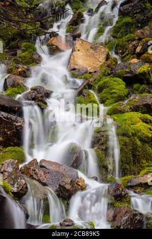 Cascade de mousse, parc national Yoho, C.-B., Canada Banque D'Images