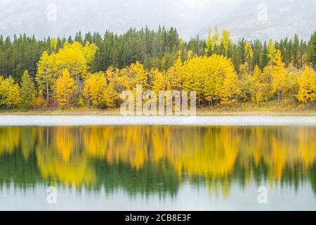 Réflexions d'automne à Wedge Pond, pays de Kananaskis, parc provincial Peter Loughheed, Canada Banque D'Images