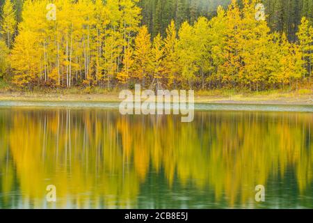 Réflexions d'automne à Wedge Pond, pays de Kananaskis, parc provincial Peter Loughheed, Canada Banque D'Images