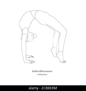 Urdhva Dhanurasana ou Wheel pose. Vecteur. Illustration de Vecteur