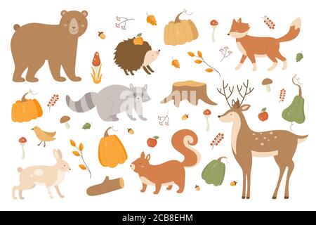 Jeu d'illustrations vectorielles animaux d'automne. Collection d'automne de forêt plate de dessins animés avec ours raton laveur lapin ours renard hérisson personnages, branches d'arbre et champignons automnaux, citrouille isolée sur blanc Illustration de Vecteur