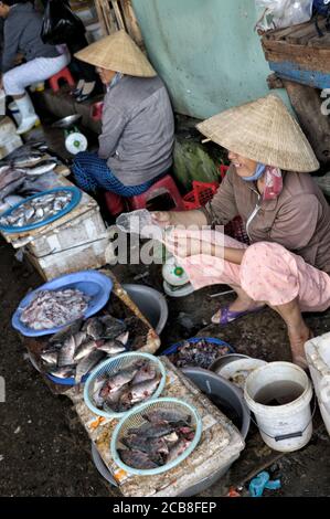 Vendeurs de poisson au marché central de Hoi an, Vietnam Banque D'Images