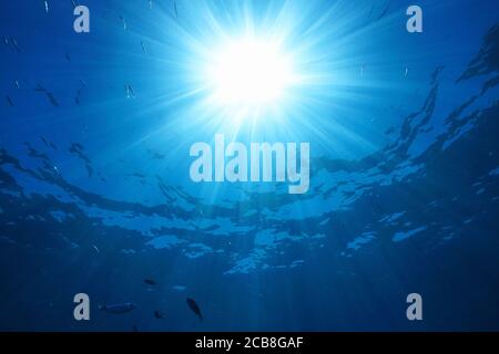Lumière du soleil sous l'eau à travers la surface de l'eau avec quelques poissons, scène naturelle, mer Méditerranée Banque D'Images