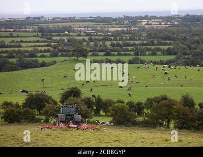 Sean White, 16 ans, tourne de l'herbe pour l'entrepreneur Mossie White sur le terrain de Barry Ryans dans la Naul, Co. Dublin. Crédit photo ; Damien Eager 1/8/2020 Banque D'Images