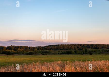 Coucher de soleil dans le champ russe. Herbes Banque D'Images