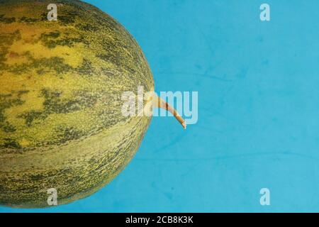 Gros plan d'un melon non coupé sur fond bleu Banque D'Images