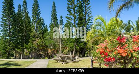 Nouvelle végétation luxuriante calédonienne avec une décoration de bateau en bois : pins d'araucaria, bougainvillers et autres plantes tropicales. Banque D'Images