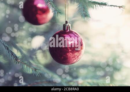 Des boules de Noël rouges avec réflexion décorent les branches vertes de l'arbre de Noël. Vacances d'hiver. Thème de Noël avec espace pour le texte Banque D'Images