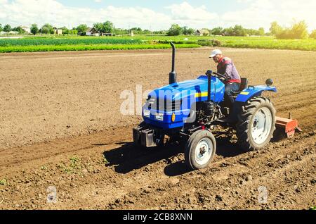 Un agriculteur qui travaille sur un tracteur équipé d'une fraiseuse perd le sol dans le champ de la ferme. Meuler et mélanger le sol sur la plantation. Préparation pour le nouveau planti de récolte Banque D'Images