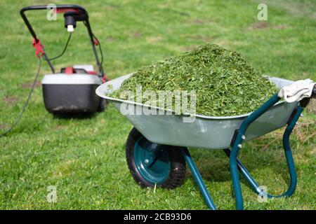 Brouette pleine d'herbe tondue et une tondeuse à gazon debout sur la pelouse tondue Banque D'Images