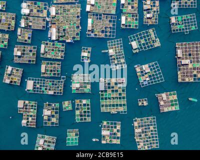 Beaucoup de fermes marines dans une eau de mer bleue. Concept d'agriculture de mer Banque D'Images