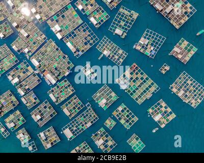 Beaucoup de fermes marines dans une eau de mer bleue. Concept d'agriculture de mer Banque D'Images