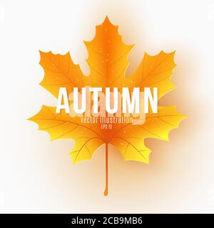 Feuille d'érable d'automne avec texte sur fond blanc. Modèle de fête pour concevoir votre publicité. Carte cadeau. Illustration vectorielle. SPE 10. Illustration de Vecteur