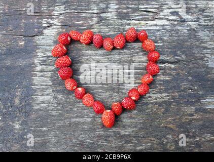 Fraises sauvages rouges fraîches en forme de coeur, sur bois vieilli. Concept de coeur symbolisant l'amour pour la nature et l'environnement. Fraîchement cueilli f Banque D'Images