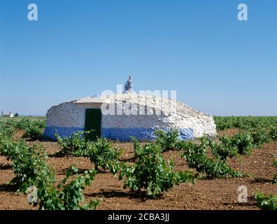 Espagne, Castille-la Manche, province de Ciudad Real. Environs de Tomelloso. Bombo manchego. Une sorte de cabane voûtée faite avec des laboratoires de pierre sans mortier, provenant du labour des vinyeards. À l'intérieur, il y a des lits en pierre, des cheminées, etc. Autrefois, ils étaient utilisés comme maisons pour les bergers et les paysans, bien qu'aujourd'hui ils servent seulement d'entreposage. Banque D'Images