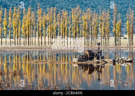 Inondé, automne, paysage avec de l'eau ancienne bien sur les plaines inondables de Mantineia, près de Tripoli, Arcadia Sud, Péloponnèse, Grèce Banque D'Images