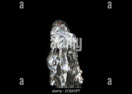 Gros plan sur des éclaboussures d'eau limpides sur un noir arrière-plan Banque D'Images