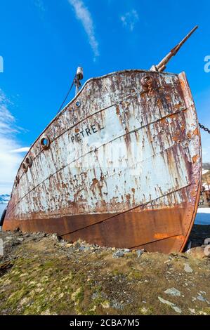 Épave du bateau de pêche à la baleine Petrel, ancienne station de chasse à la baleine de Grytviken, King Edward Cove, Géorgie du Sud, Géorgie du Sud et îles Sandwich, Antarctique Banque D'Images