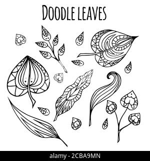 Ensemble de feuilles de caniche noires et blanches avec motif zentangle. Elément vectoriel pour votre conception. Illustration de Vecteur