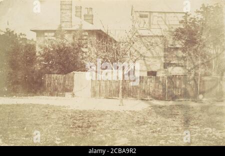 Arbre dans Yard, 1850. Banque D'Images