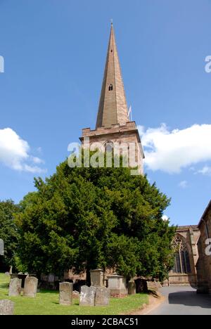 La flèche de l'église paroissiale de Saint Michel et de tous les Anges, Ledbury, Herefordshire, Angleterre Banque D'Images