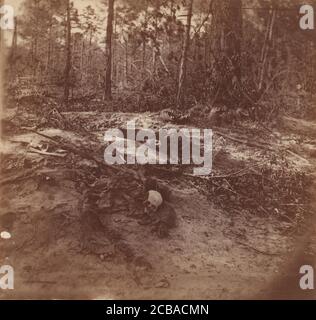 Champ de bataille de la nature sauvage, 1864. C'est là que les généraux Robert E. Lee et Ulysses S. Grant se sont battus pour un tirage sanglant en mai 1864. Il semble probable que ces photographies datent de la période d'après-guerre immédiate, pendant les opérations de nettoyage. Banque D'Images