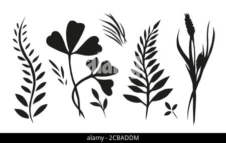 Set avec des plantes, herbes et herbes peintes encre pour votre créativité Illustration de Vecteur