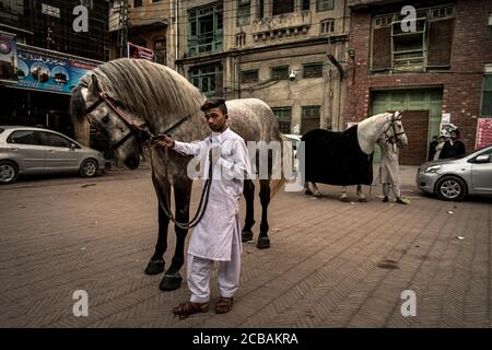 Vie quotidienne comme ici en face d'un horse stable au milieu de la vieille ville autour de la mosquée Badshahi, Patrimoine Mondial de l'UNESCO à Lahore au Pakistan. Banque D'Images